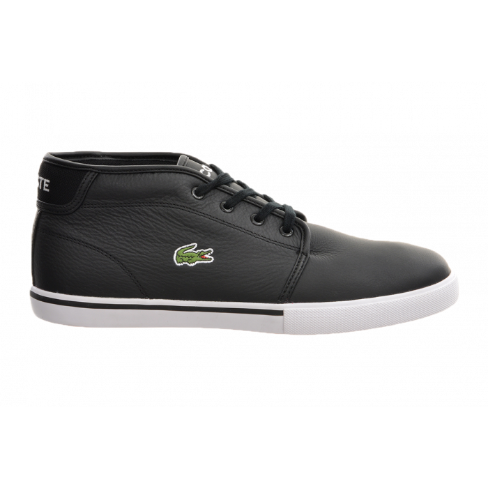 spitz lacoste shoes