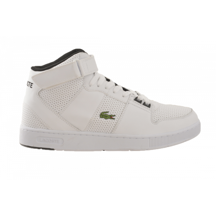 spitz shoes lacoste prices