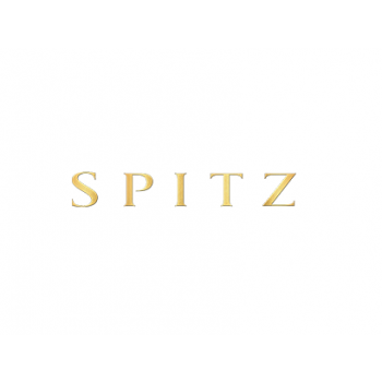 Spitz shoes sale store